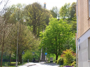 Skansen Krona "von unten" (von Haga aus)