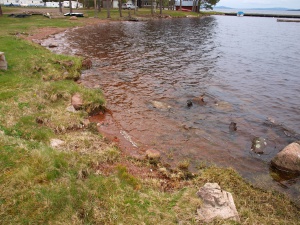 Blick auf den See um die Insel Sollerön