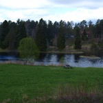 Gartenanlage in Olofsfors Bruk